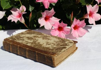 Gammel bog fra 1781