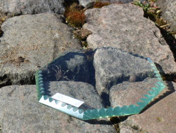 Gammelt bordglas