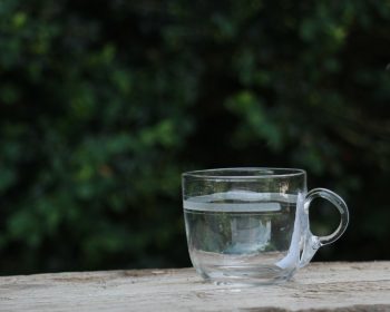 Gammelt Rydberg punchglas